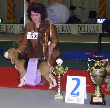 Show champion of champions, Bratislava - Slovakia, 1st. vice champion of the year 2004