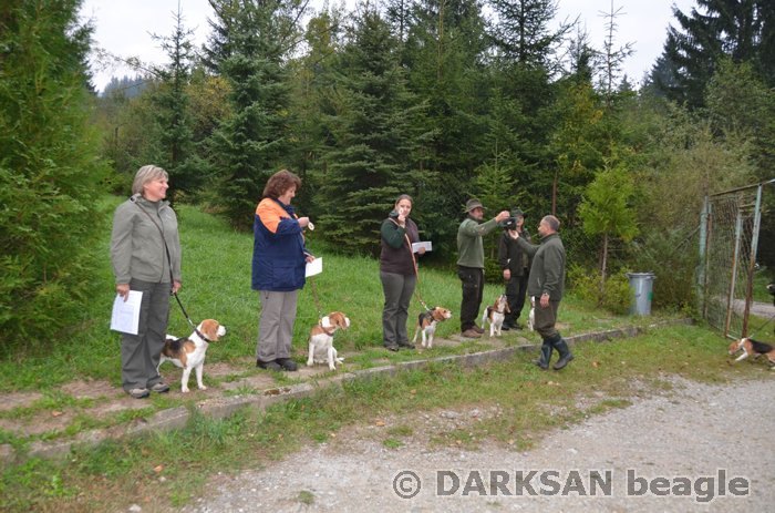 obr. Hunting examination, Doln Kubn - Zskalie: 17.9.2011